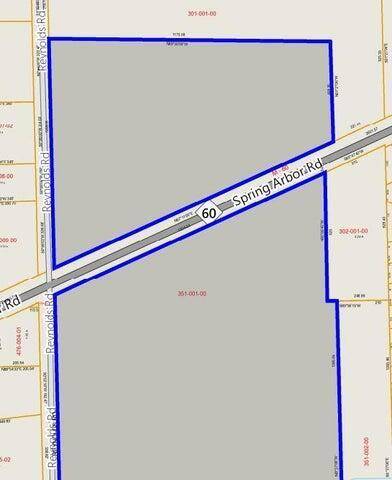 Spring Arbor Twp, MI 49201,VL Spring Arbor Road