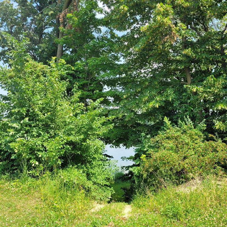 Wright Twp, MI 49247,14094 Lakeshore Drive