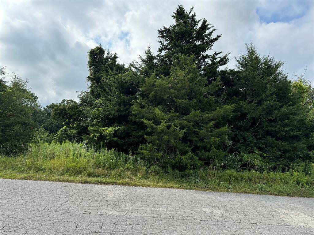 Columbia Twp, MI 49230,227 Riviera Drive
