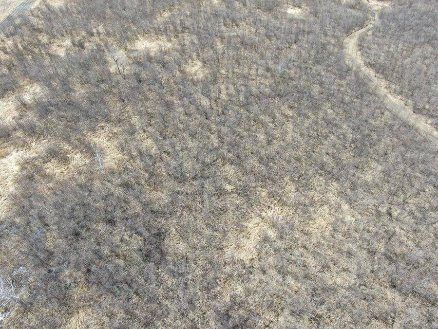 Bruce Twp, MI 49783,0 S Klier Road