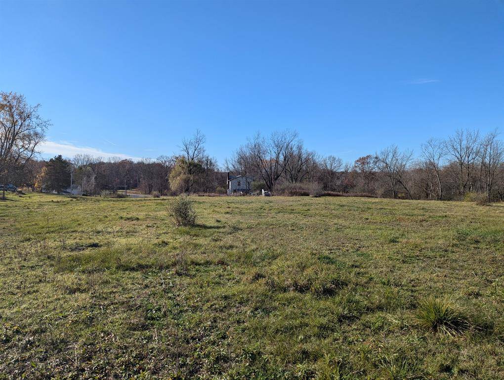 Woodstock Twp, MI 49253,Unit 2 Hollyhock Lane