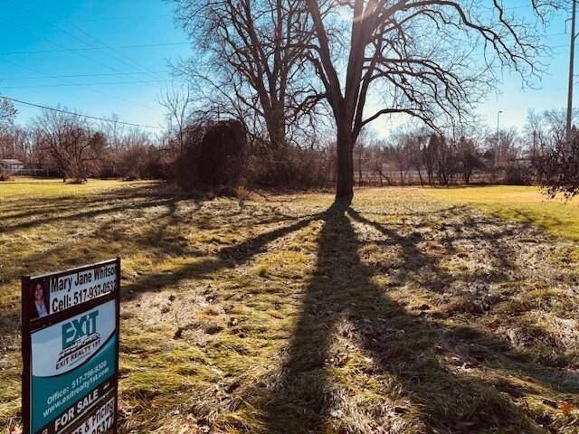Blackman Twp, MI 49202,0 Shirley Drive