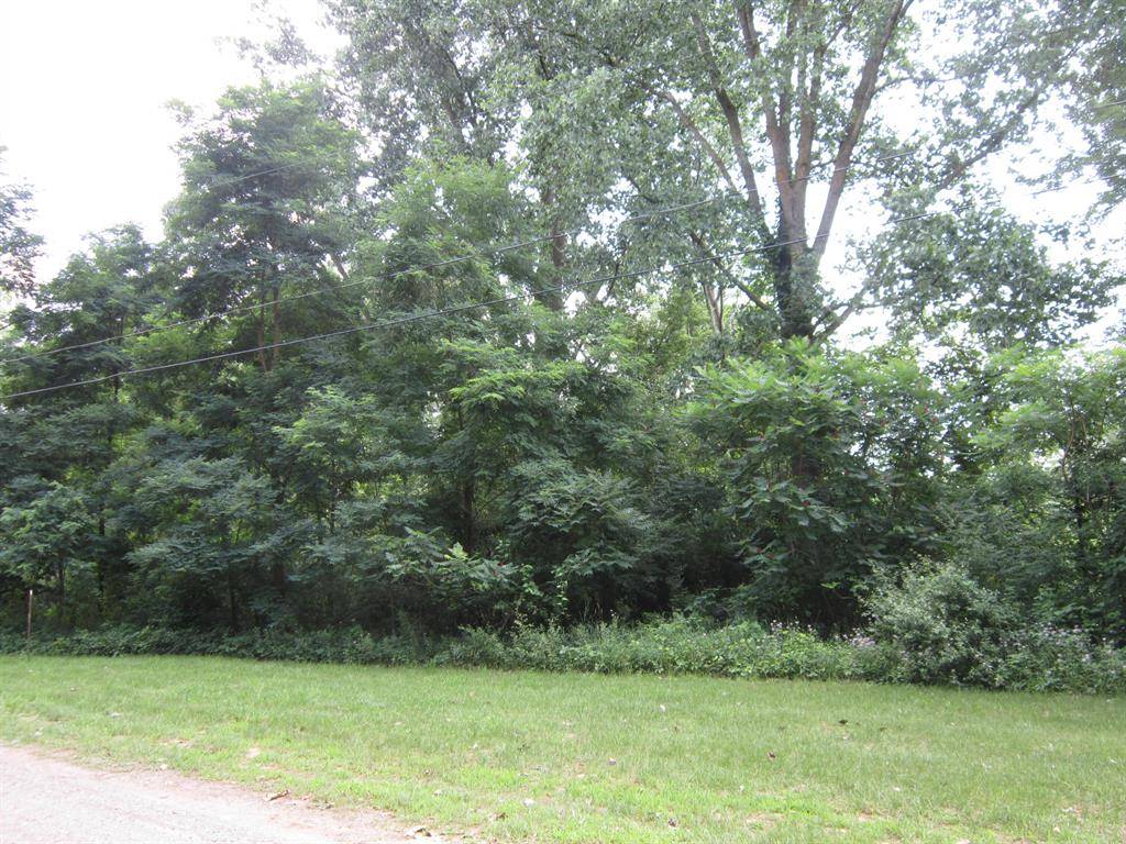 Norvell Twp, MI 49230,VL Sand Drive