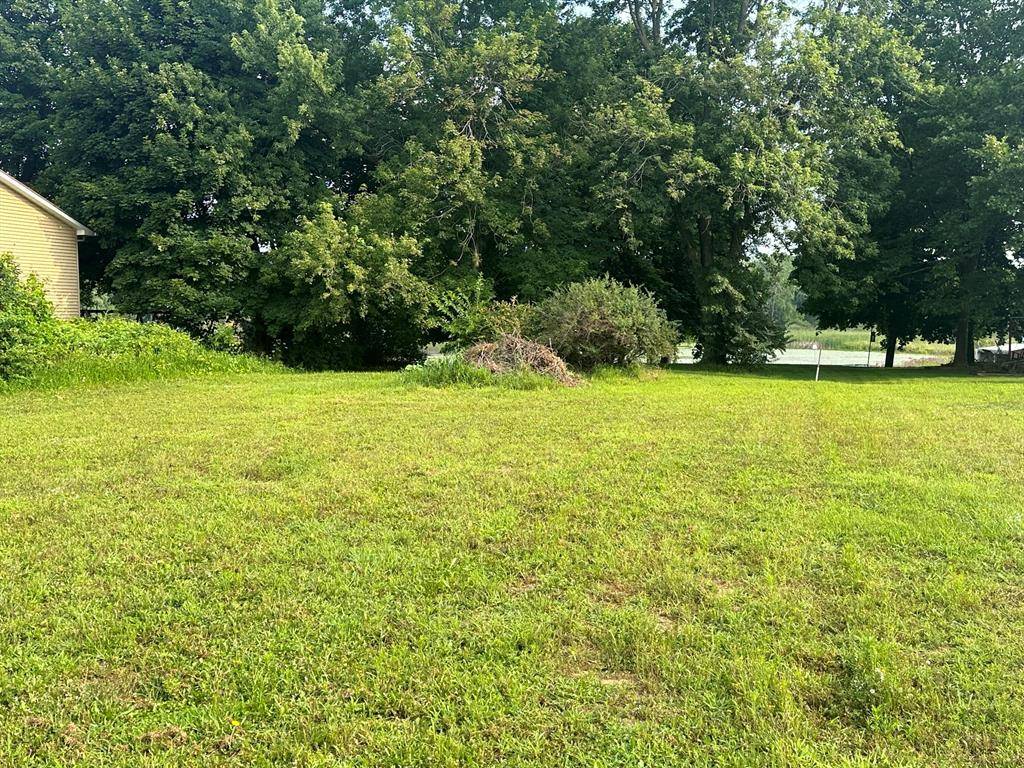 Henrietta Twp, MI 49272,0 E Berry Road