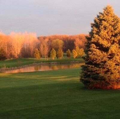 Henrietta Twp, MI 49272,4992 Old Silo Drive 34