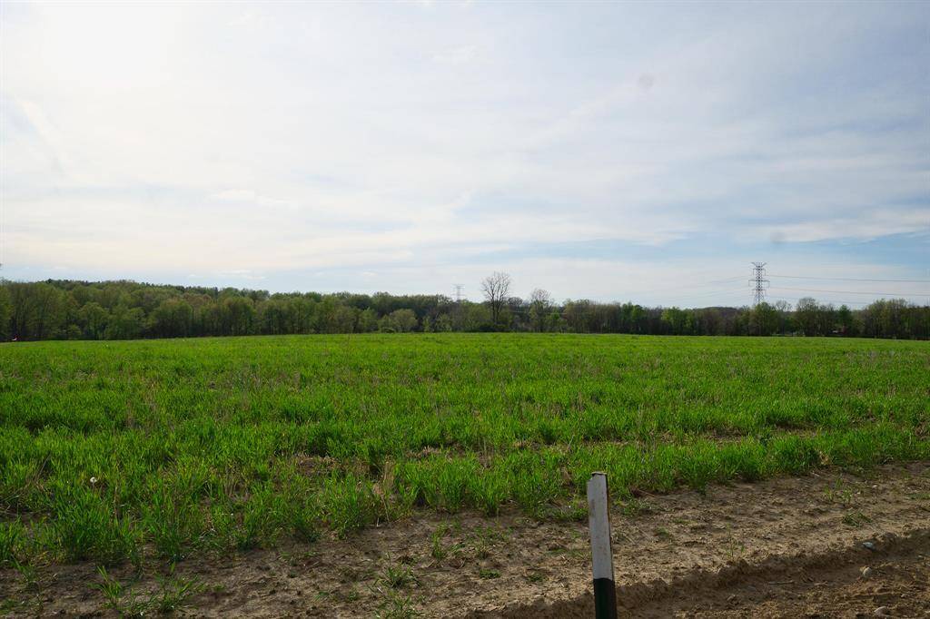 Rives Twp, MI 49277,VL C Dutch