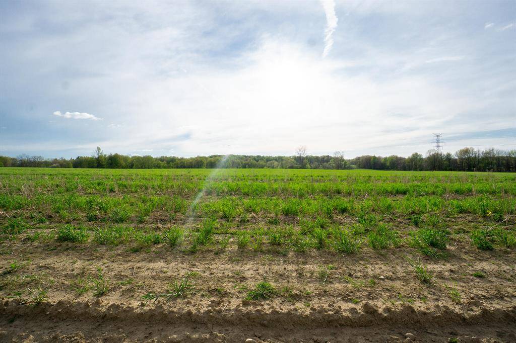 Rives Twp, MI 49277,VL B Dutch
