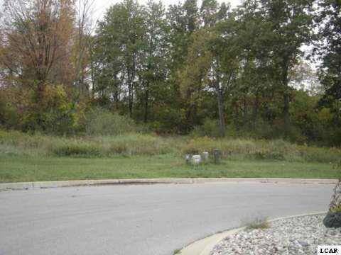 Adrian, MI 49221,1005 SAW MILL Court
