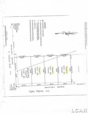 Palmyra Twp, MI 49221,3000 Blk Ogden Hwy Parcel F