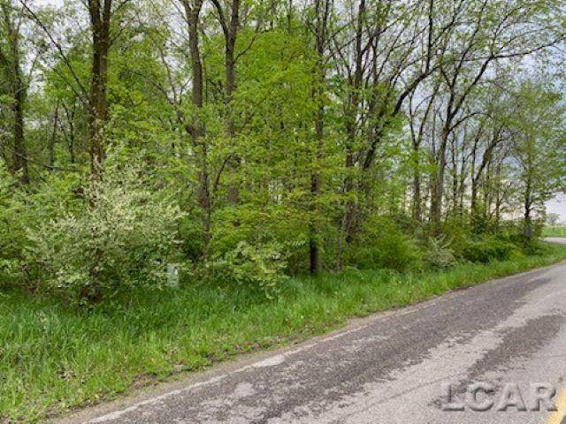 Cambridge Twp, MI 49265,8000 BLK LOT 10 Stephenson Road