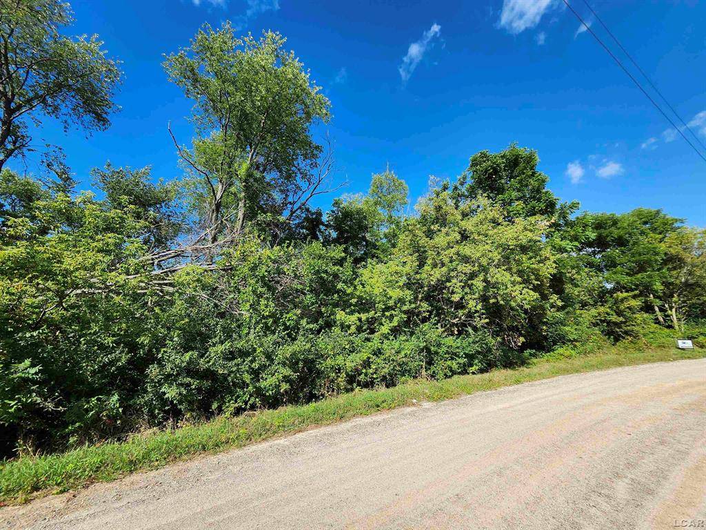 Somerset Twp, MI 49282,10421 E Greenlawn Drive Drive