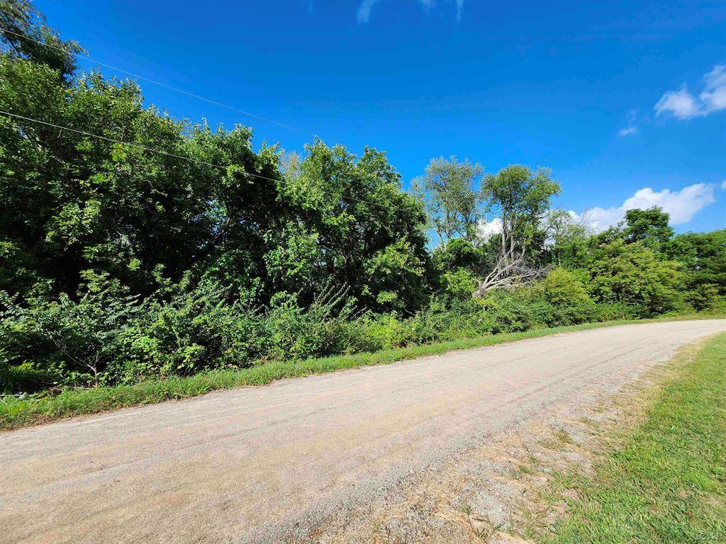 Somerset Twp, MI 49282,10421 E Greenlawn Drive Drive