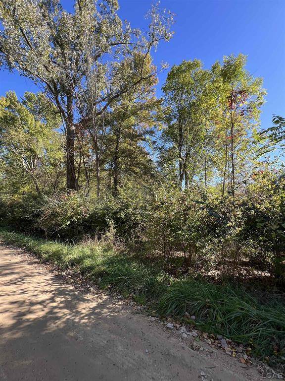 Columbia Twp, MI 49230,207 Ambler Drive