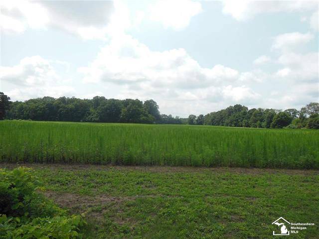 Summerfield Twp, MI 49270,Parcel 4 Wells Rd