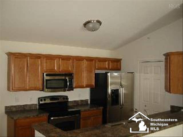 Raisinville Twp, MI 48161,838 PLUM PARK Drive Unit 43