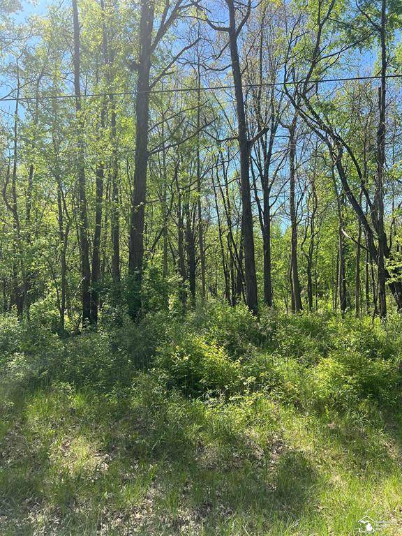 Dundee Twp, MI 48131,0 W Dunbar Road