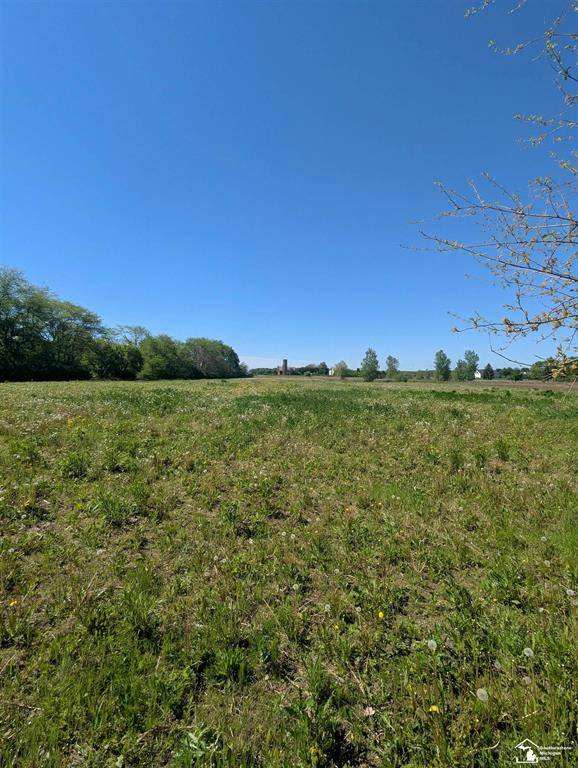 Raisinville Twp, MI 48161,000 Dixon Road