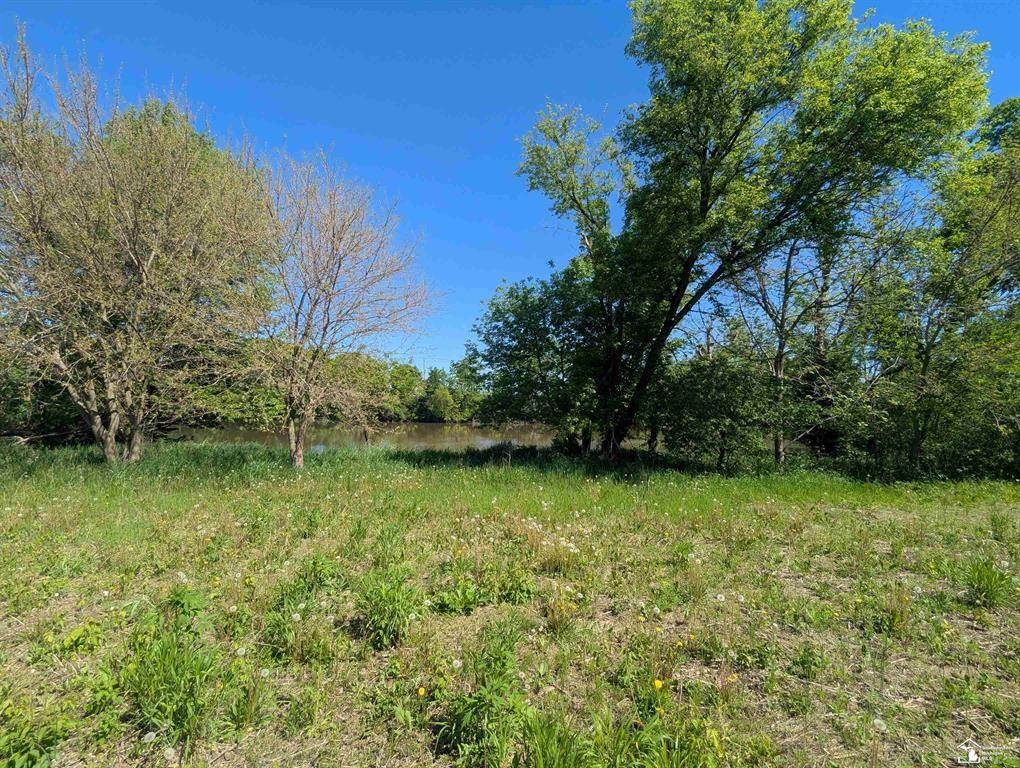 Raisinville Twp, MI 48161,000 Dixon Road