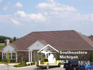Raisinville Twp, MI 48161,888 PLUM PARK Drive Unit 18