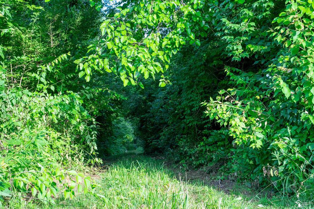 Exeter Twp, MI 48117,Parcel C Timbers Road