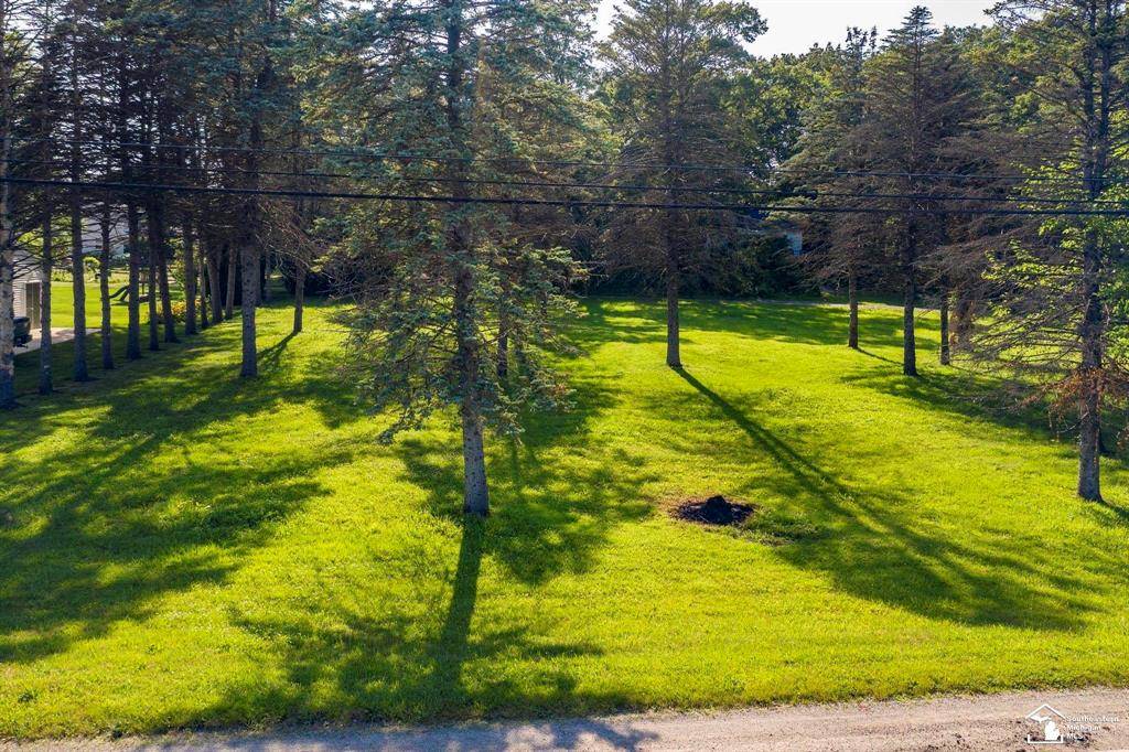 Bedford Twp, MI 48182,Parcel A Jackman Road