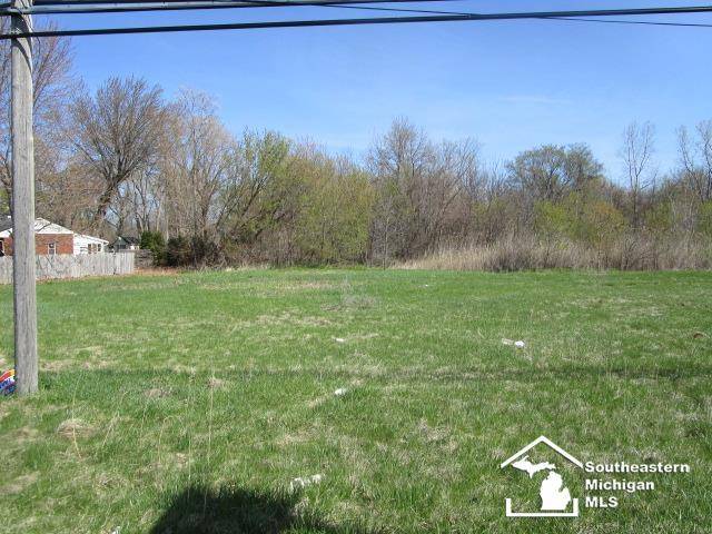 Monroe Twp, MI 48161,S Custer Lot C Road