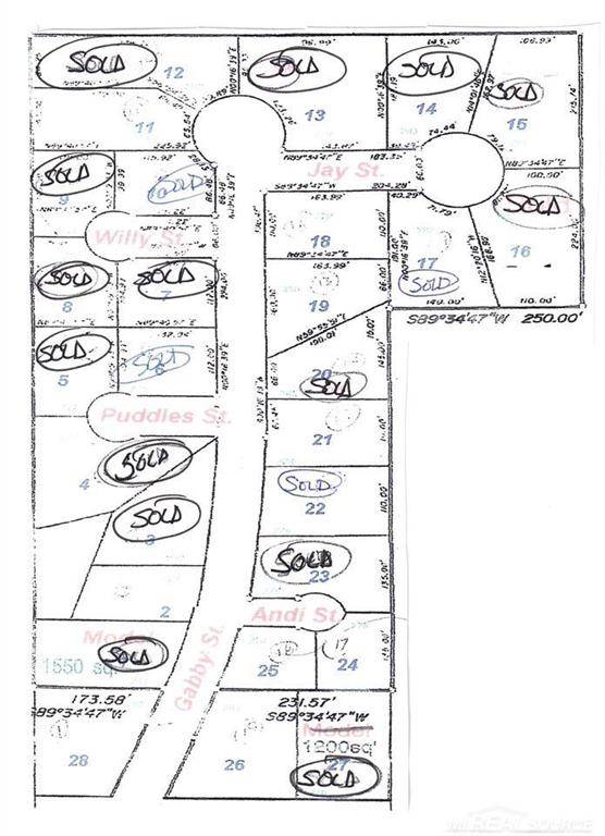 Croswell, MI 48422,0 ANDI STREET LOT 24