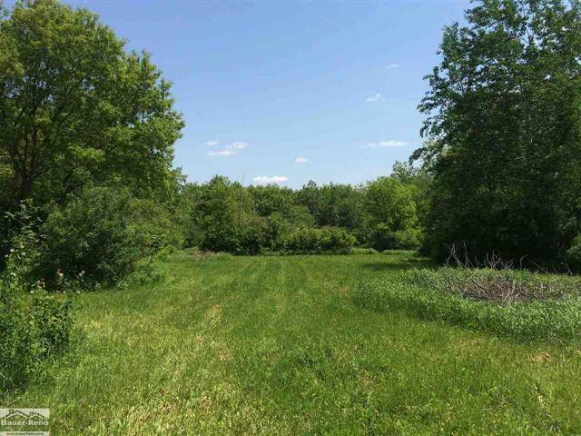 Wales Twp, MI 48027,Vacant Land Eckles