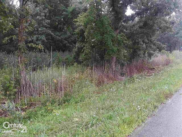 Chesterfield Twp, MI 48047,00000 21 Mile Road