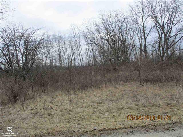 Richmond Twp, MI 48062,00 WELDING PARCEL 2