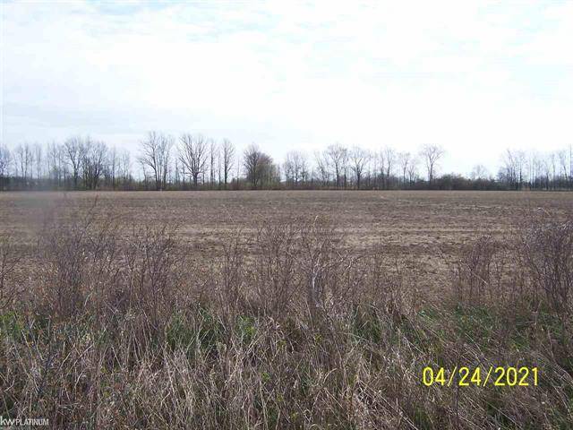 Riley Twp, MI 48041,MEMPHIS RD VACANT LOT D