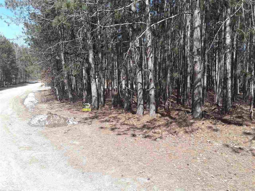 Stanwood Vlg, MI 49346,12380 Pine Mesa Drive