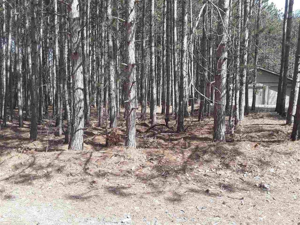 Stanwood Vlg, MI 49346,12380 Pine Mesa Drive