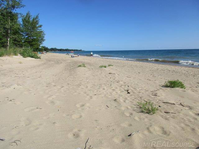 Port Sanilac, MI 48469,282 N LAKESHORE RD