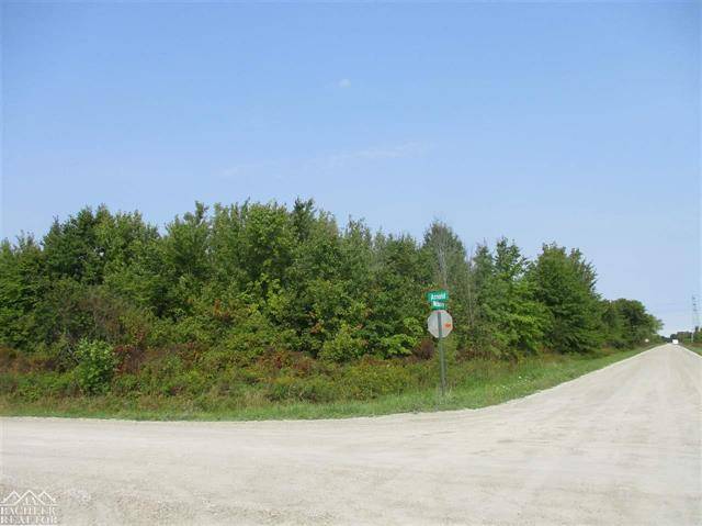 Cottrellville Twp, MI 48039,Vacant Arnold Vacant Arnold / McKinley