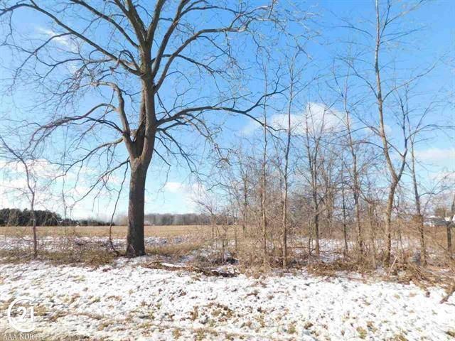 Almont Twp, MI 48003,0 Shoemaker