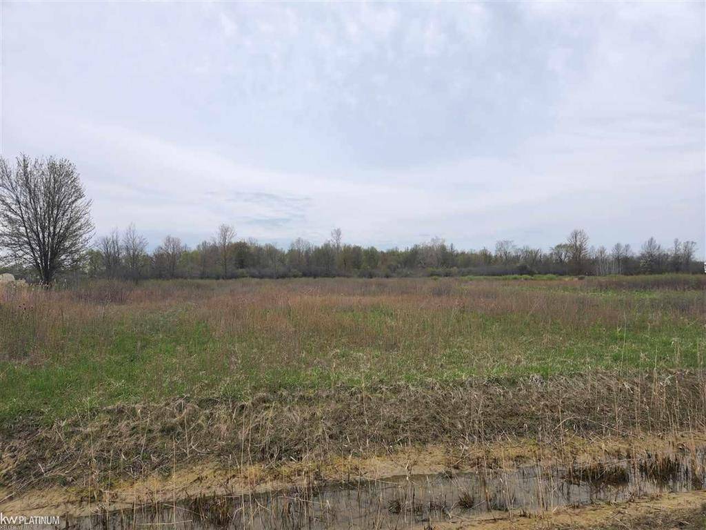 Ira Twp, MI 48023,8145 Arnold Road