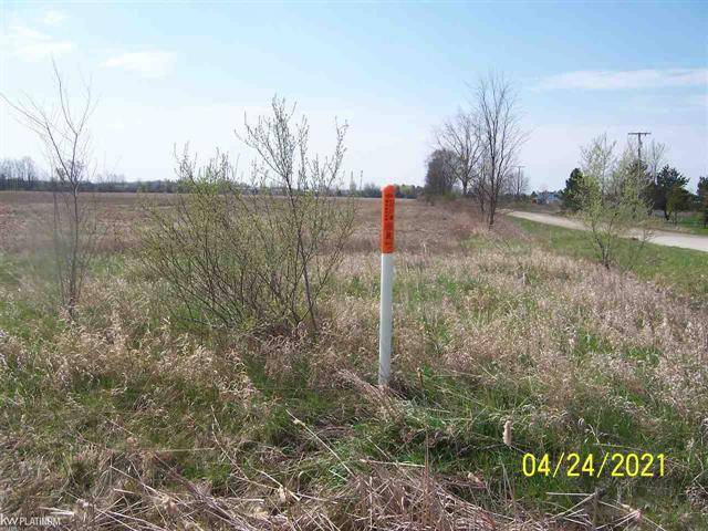 Riley Twp, MI 48041,Lambs Rd Vacant Lot B