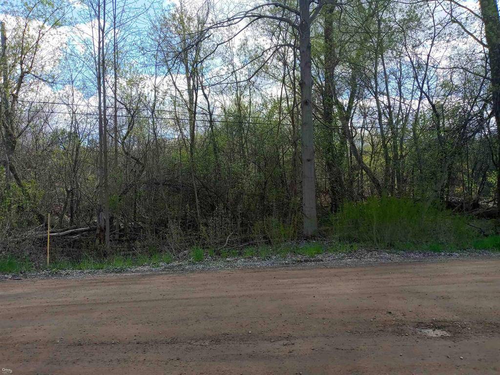 Independence Twp, MI 48348,Whipple Lake