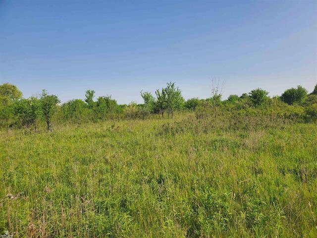 Brockway Twp, MI 48097,Jeddo Rd VL