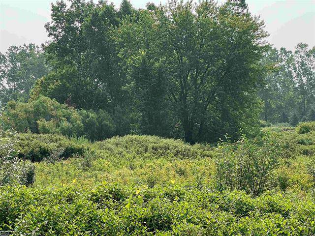 Mussey Twp, MI 48014,5350 Capac