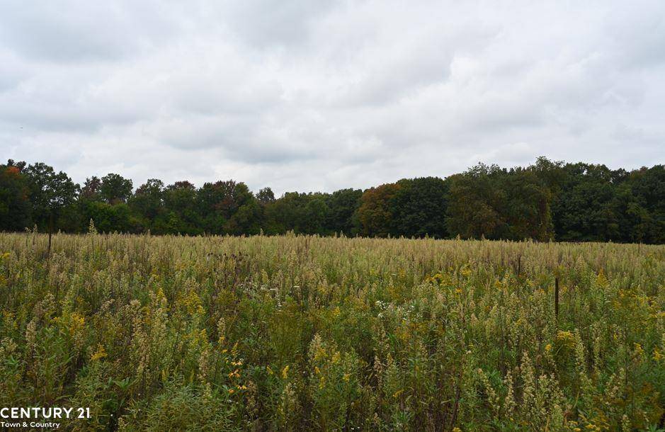 Bennington Twp, MI 48857,0 Gale Road