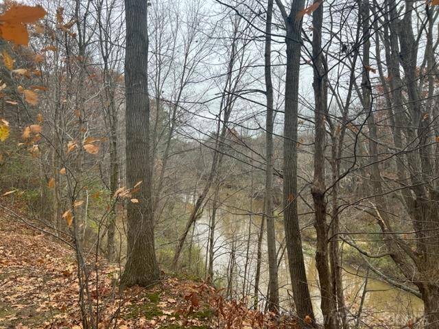 Kenockee Twp, MI 48006,00 Beard Road