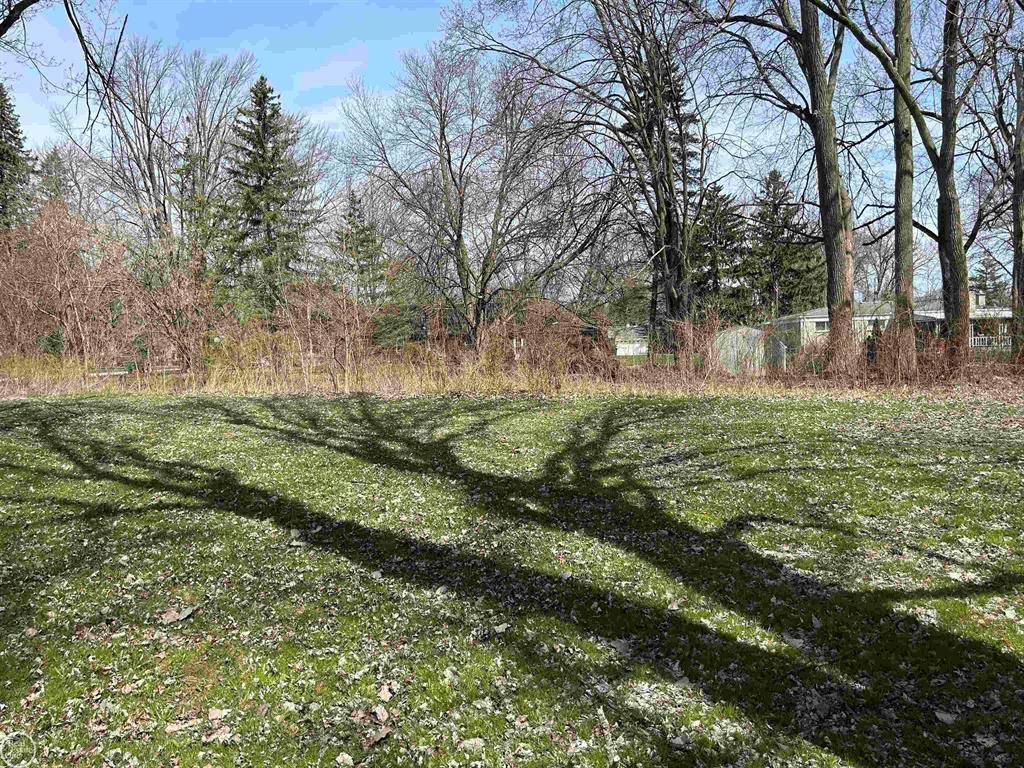 Harrison Twp, MI 48045,38510 Chartier Street