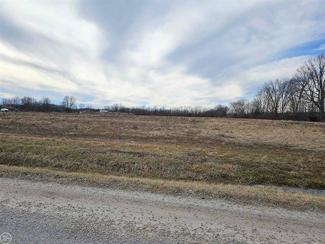 Casco Twp, MI 48064,V/L Springborn