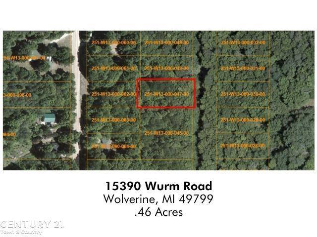 Nunda Twp, MI 49799,15390 Wurm Road