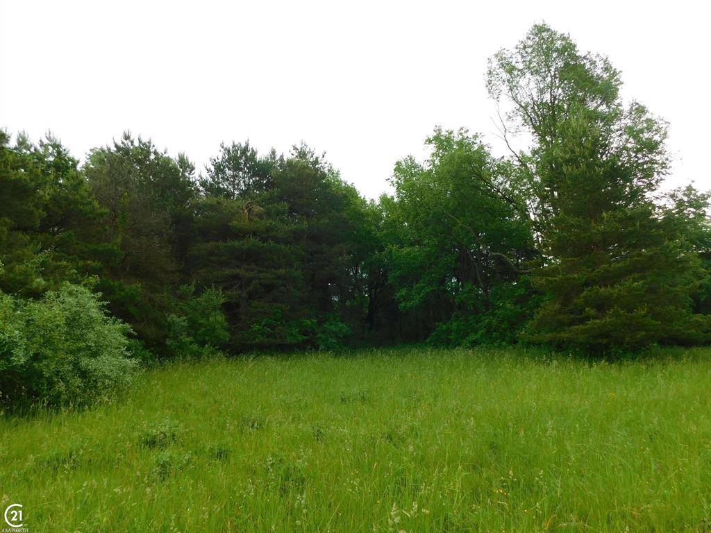 Dryden Twp, MI 48428,0 Silver Hill Parcel 1