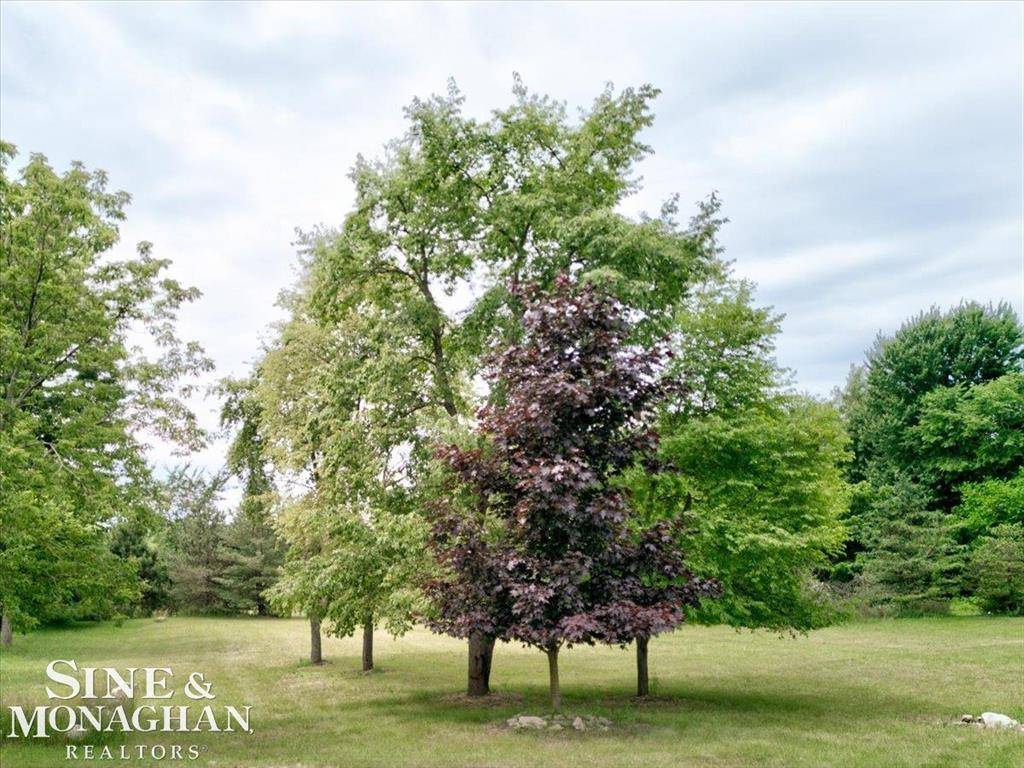 Burtchville Twp, MI 48059,3855 Conifer Court