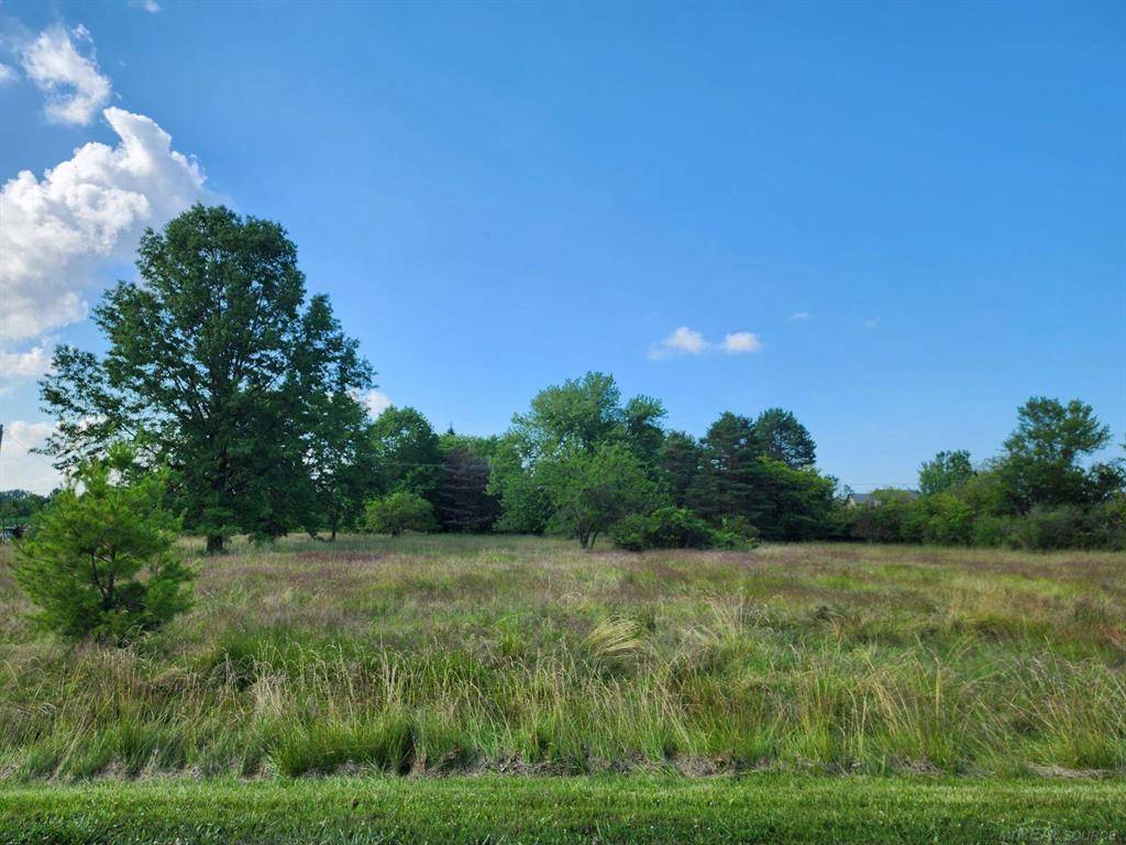 Casco Twp, MI 48064,Vacant Springborn Road