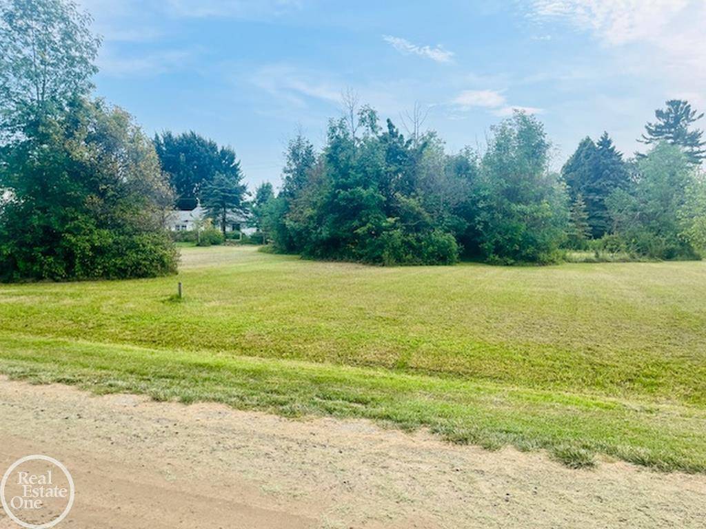 Worth Twp, MI 48450,Lots 14 & 15 Chippewa Trail